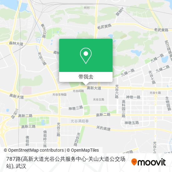 787路(高新大道光谷公共服务中心-关山大道公交场站)地图
