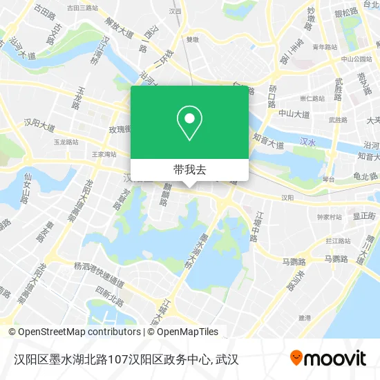 汉阳区墨水湖北路107汉阳区政务中心地图