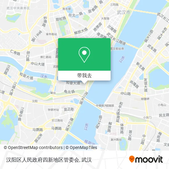 汉阳区人民政府四新地区管委会地图