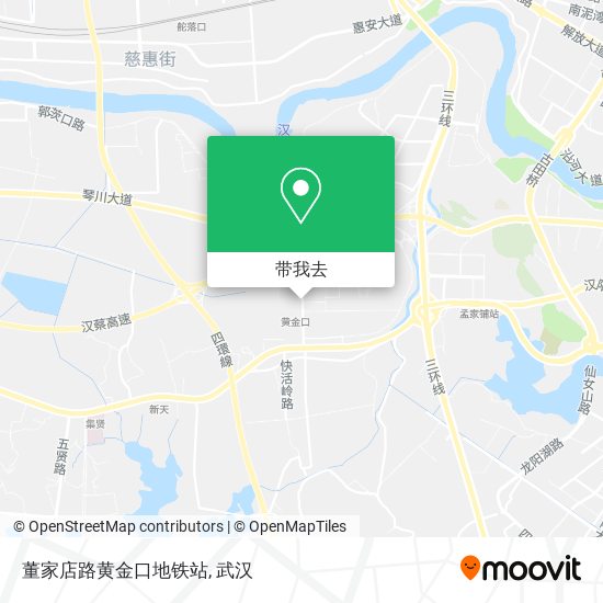 董家店路黄金口地铁站地图