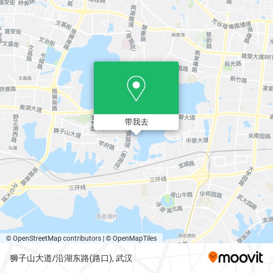 狮子山大道/沿湖东路(路口)地图