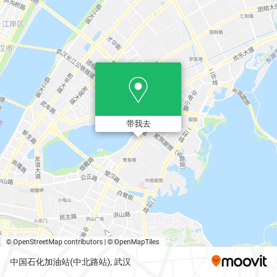 中国石化加油站(中北路站)地图