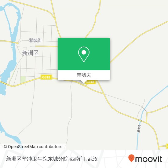 新洲区辛冲卫生院东城分院-西南门地图