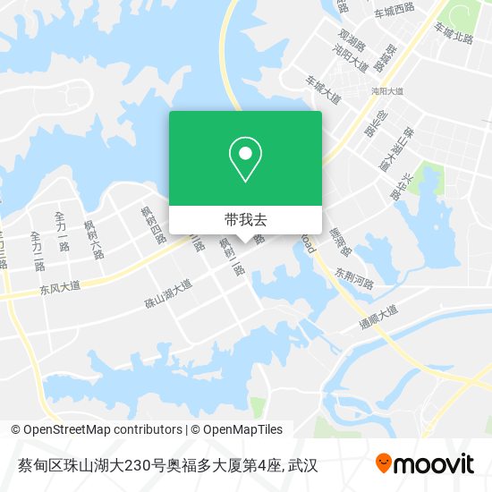 蔡甸区珠山湖大230号奥福多大厦第4座地图