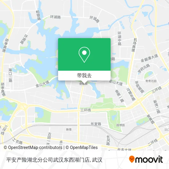 平安产险湖北分公司武汉东西湖门店地图