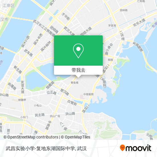 武昌实验小学-复地东湖国际中学地图