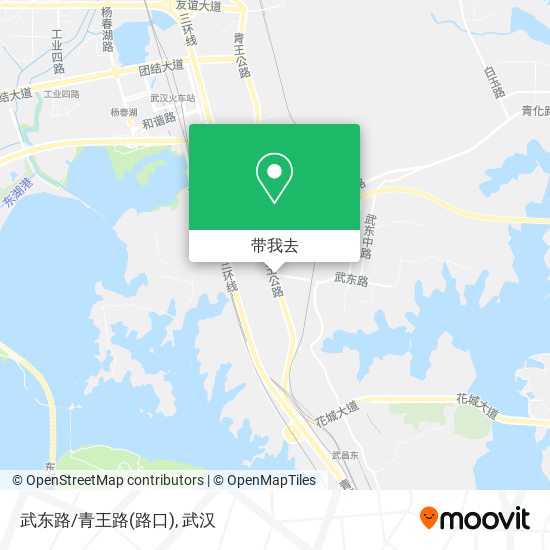 武东路/青王路(路口)地图