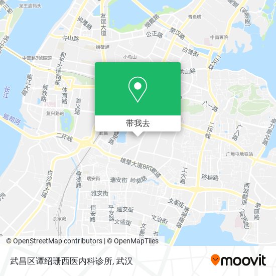 武昌区谭绍珊西医内科诊所地图