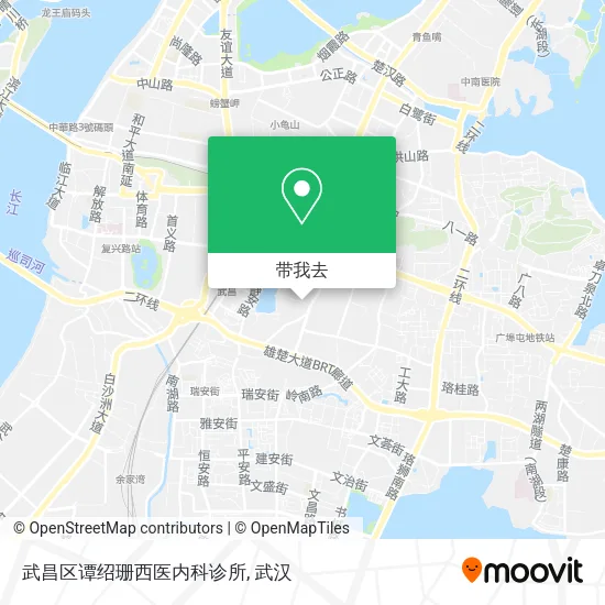 武昌区谭绍珊西医内科诊所地图