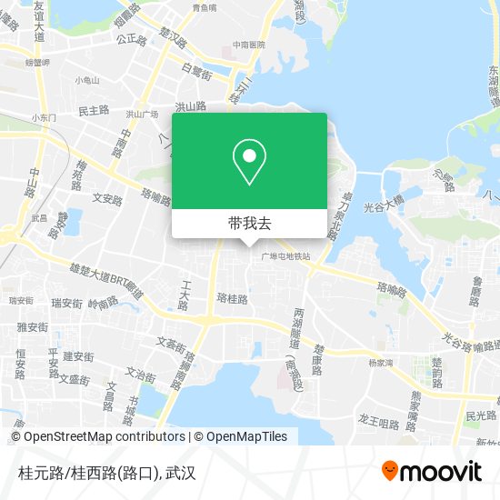 桂元路/桂西路(路口)地图