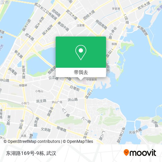 东湖路169号-9栋地图
