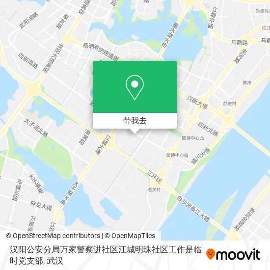 汉阳公安分局万家警察进社区江城明珠社区工作是临时党支部地图