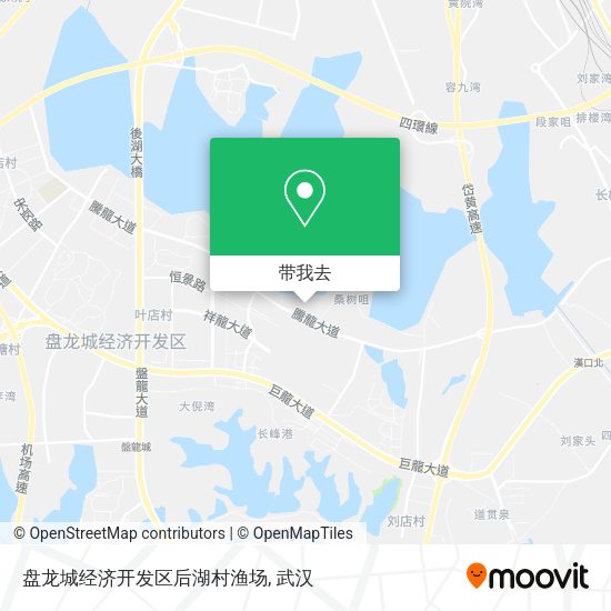 盘龙城经济开发区后湖村渔场地图