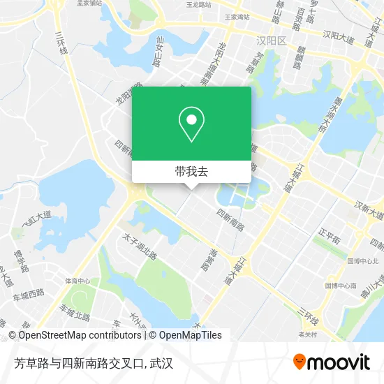 芳草路与四新南路交叉口地图