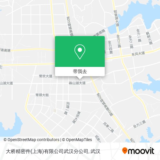 大桥精密件(上海)有限公司武汉分公司地图