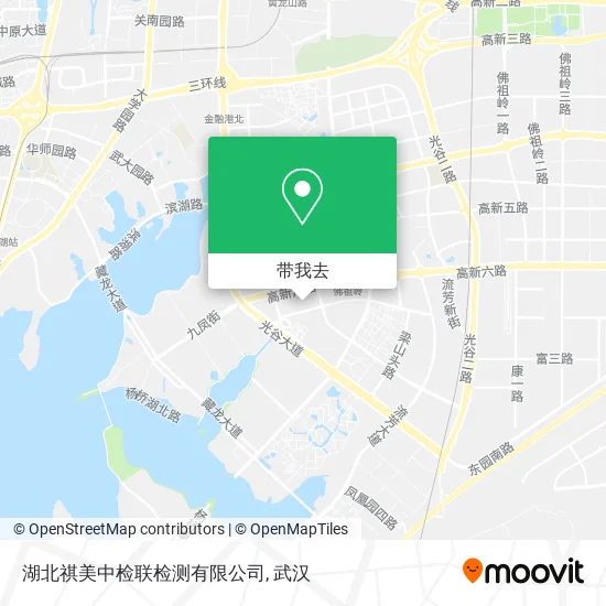 湖北祺美中检联检测有限公司地图