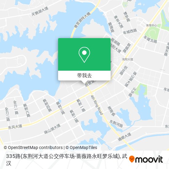335路(东荆河大道公交停车场-蔷薇路永旺梦乐城)地图