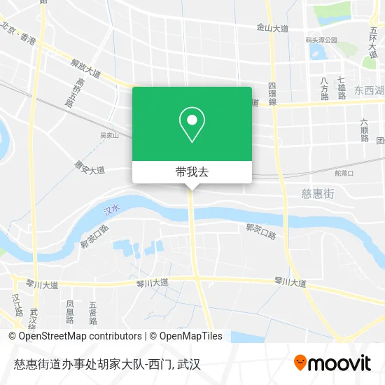 慈惠街道办事处胡家大队-西门地图