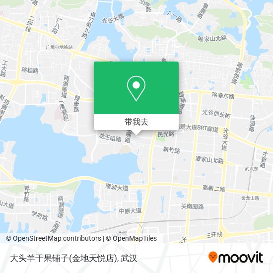 大头羊干果铺子(金地天悦店)地图