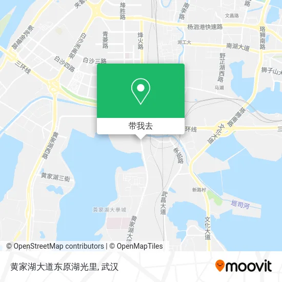 黄家湖大道东原湖光里地图