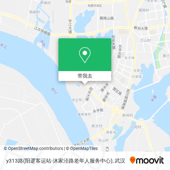 y313路(阳逻客运站-沐家泾路老年人服务中心)地图