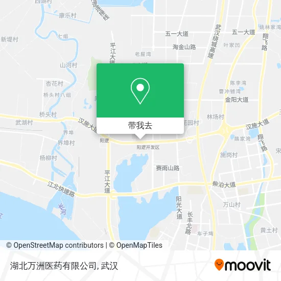 湖北万洲医药有限公司地图