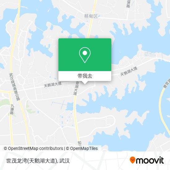 世茂龙湾(天鹅湖大道)地图
