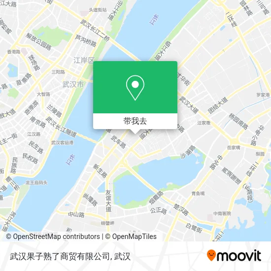 武汉果子熟了商贸有限公司地图