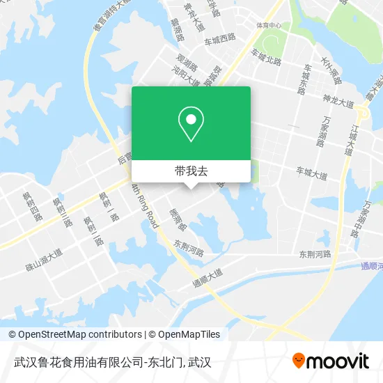 武汉鲁花食用油有限公司-东北门地图