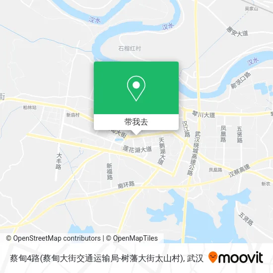 蔡甸4路(蔡甸大街交通运输局-树藩大街太山村)地图