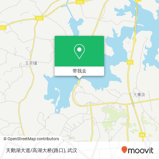 天鹅湖大道/高湖大桥(路口)地图