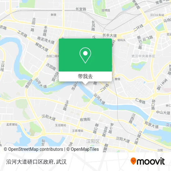 沿河大道硚口区政府地图