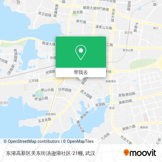 东湖高新区关东街汤逊湖社区-21幢地图