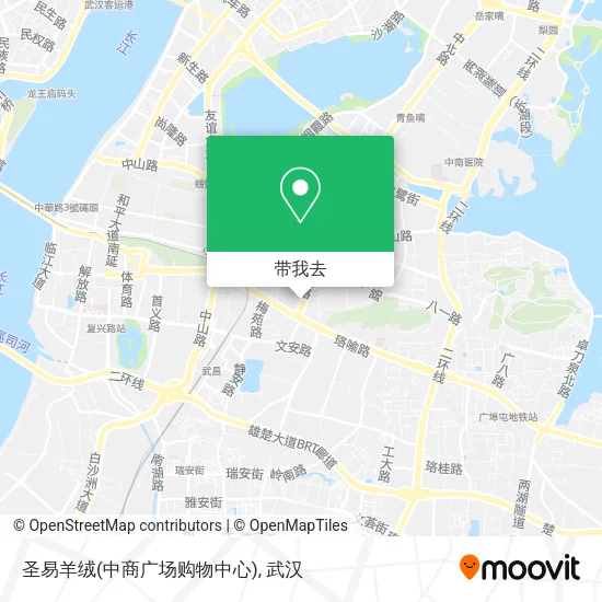 圣易羊绒(中商广场购物中心)地图
