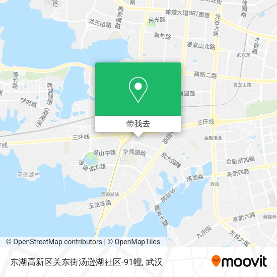 东湖高新区关东街汤逊湖社区-91幢地图