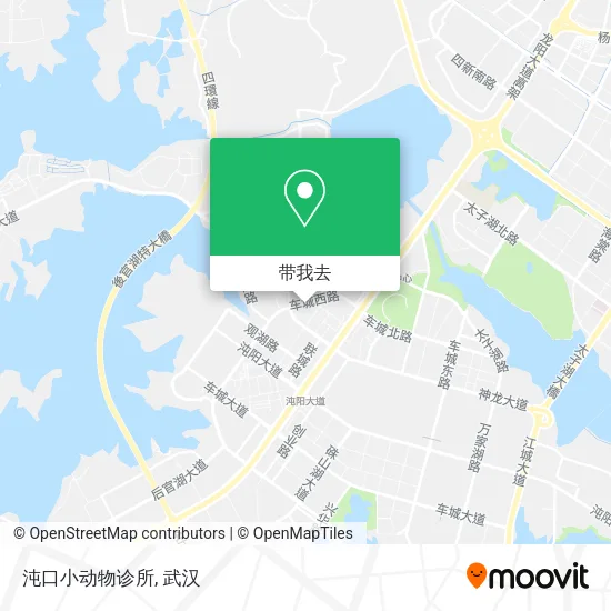 沌口小动物诊所地图
