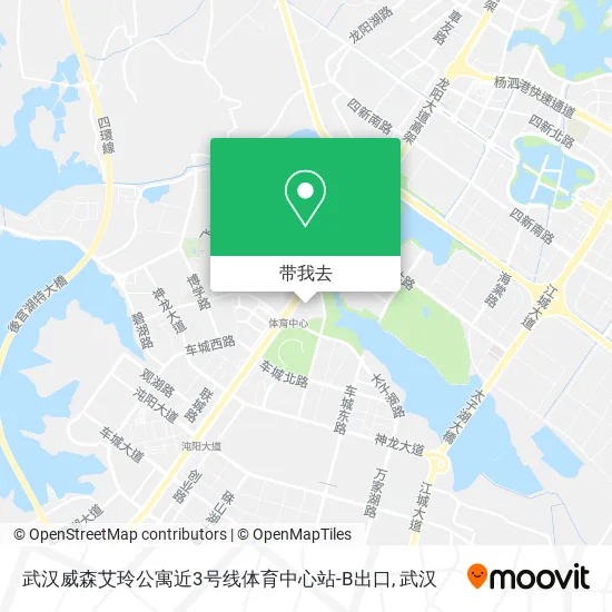 武汉威森艾玲公寓近3号线体育中心站-B出口地图