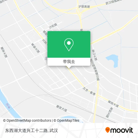 东西湖大道兴工十二路地图