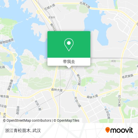 浙江青松苗木地图