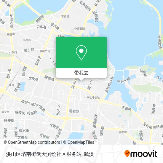 洪山区珞南街武大测绘社区服务站地图