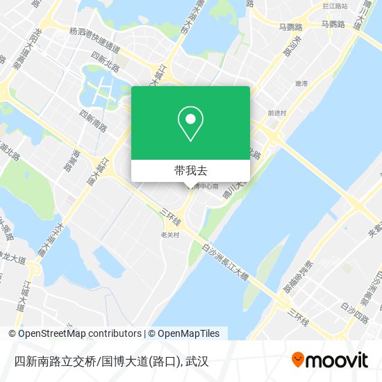 四新南路立交桥/国博大道(路口)地图