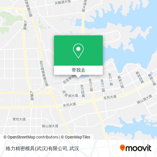 格力精密模具(武汉)有限公司地图