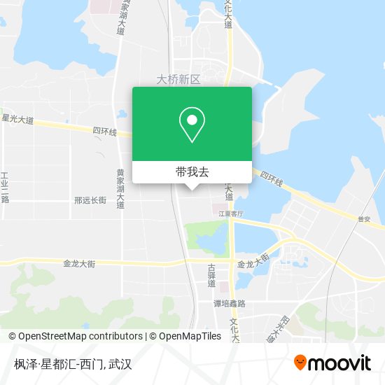枫泽·星都汇-西门地图