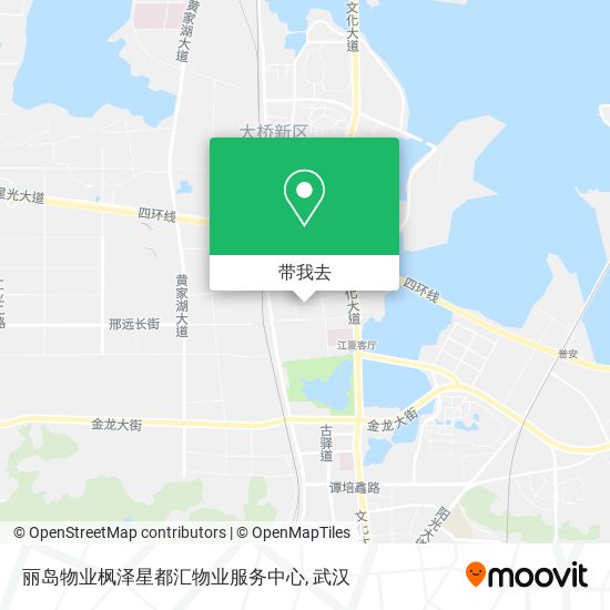 丽岛物业枫泽星都汇物业服务中心地图