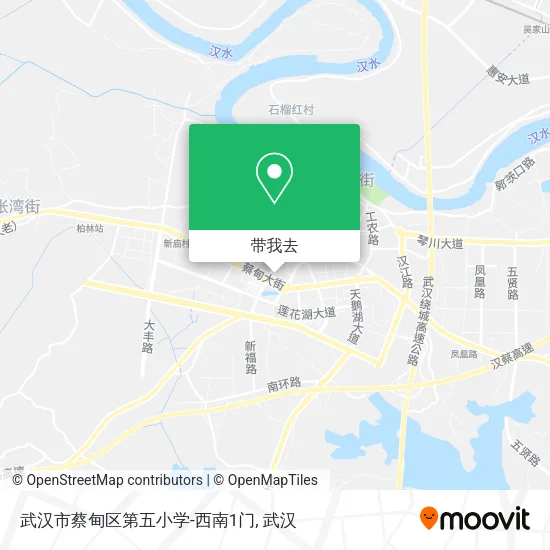武汉市蔡甸区第五小学-西南1门地图