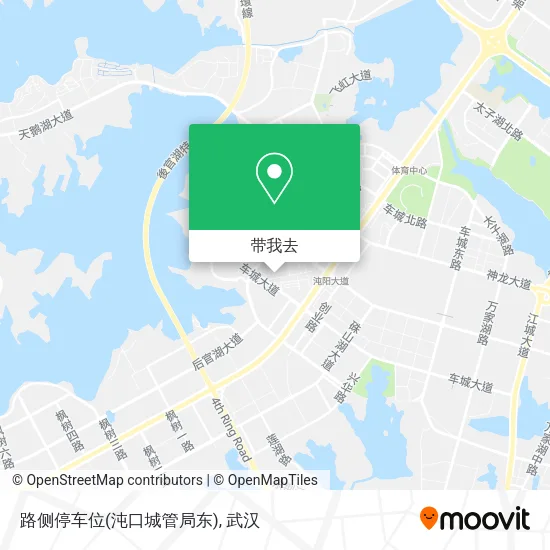 路侧停车位(沌口城管局东)地图