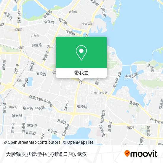 大脸猫皮肤管理中心(街道口店)地图