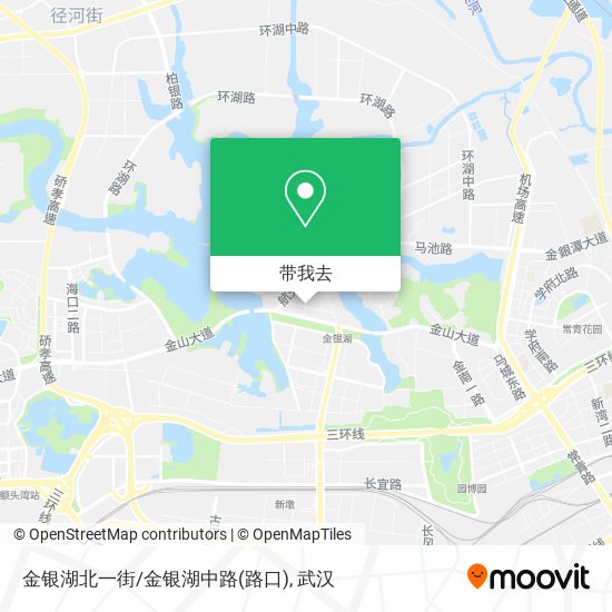 金银湖北一街/金银湖中路(路口)地图