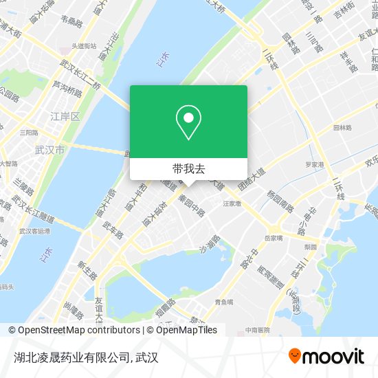 湖北凌晟药业有限公司地图