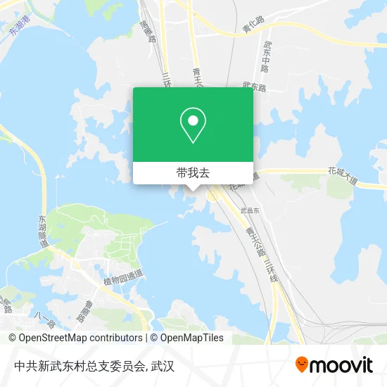 中共新武东村总支委员会地图